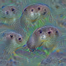 n02444819 otter